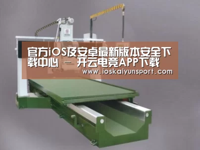 产品名称十