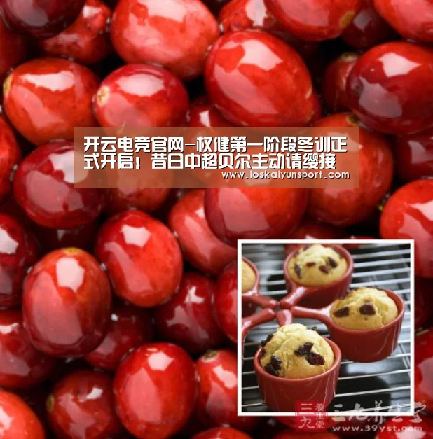 开云电竞官网