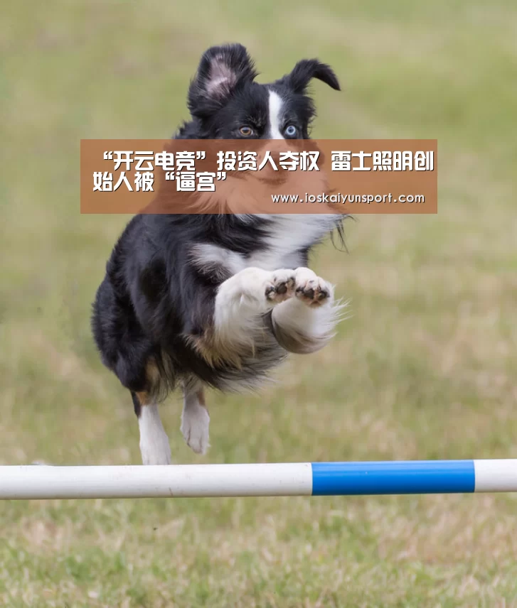 开云电竞