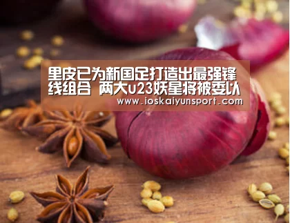 开云电竞官网