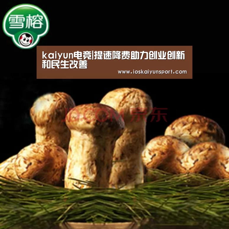 kaiyun电竞|提速降费助力创业创新和民生改善